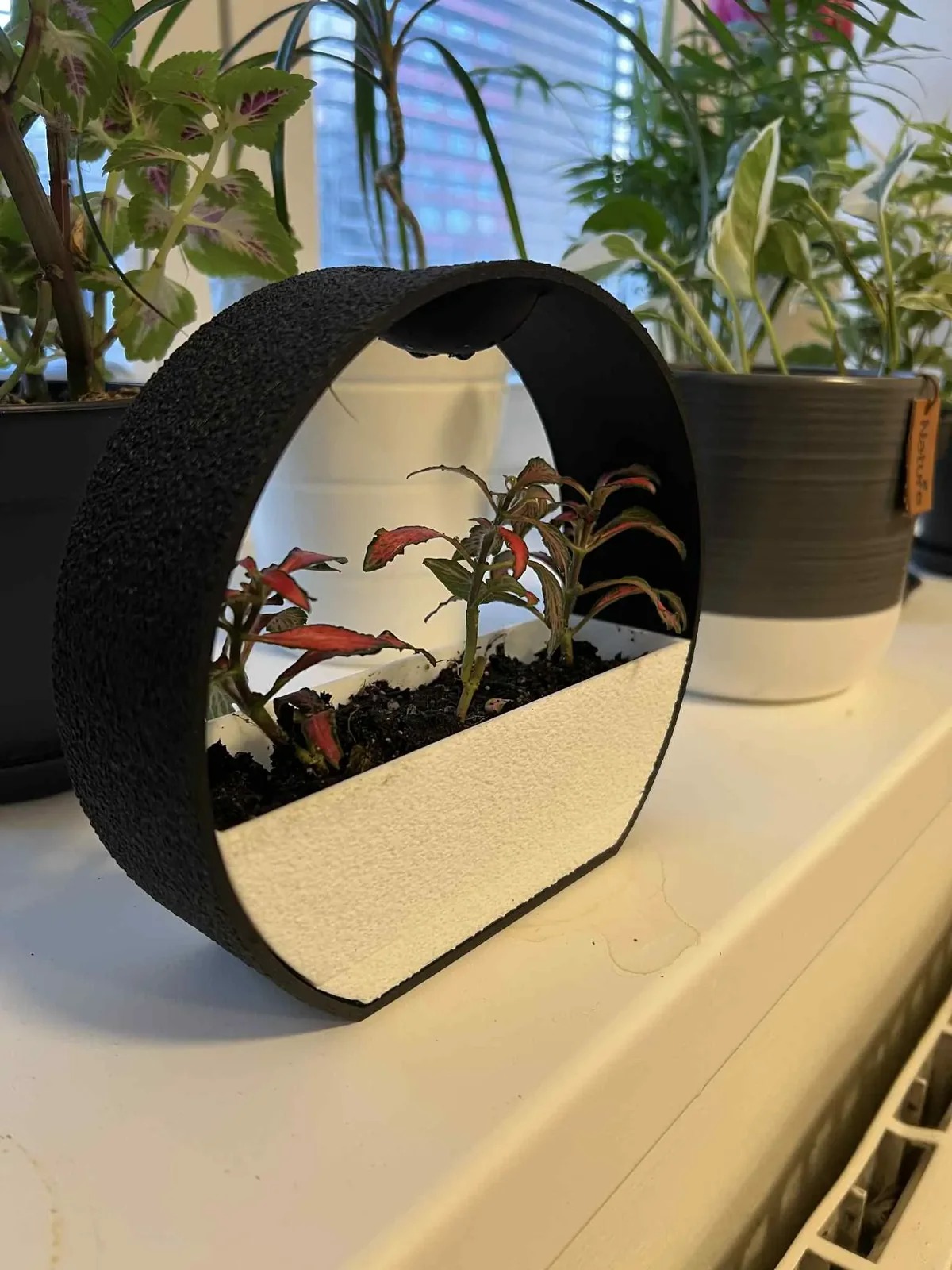 Self-Watering Planter